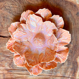 Ceramic Flora by Pottery by Jodi