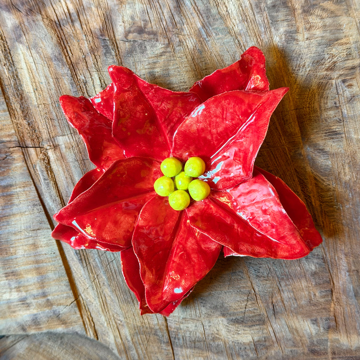 Ceramic Flora by Pottery by Jodi – Pop Cycle Tucson