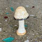 Ceramic Mushrooms by Mehgan on the Moon