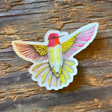 Sonoran Wildlife Stickers by Aall Forms of Life