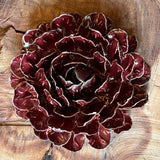 Ceramic Flora by Pottery by Jodi