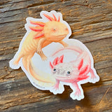 Sonoran Wildlife Stickers by Aall Forms of Life