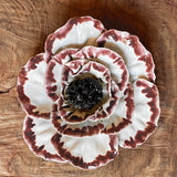 Ceramic Flora by Pottery by Jodi