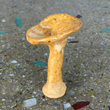 Ceramic Mushrooms by Mehgan on the Moon