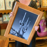 B&W Cactus Cabinet Doors by DDco Design