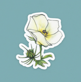 Stickers by Cacti Oasis*