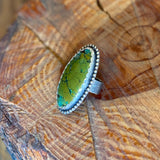 Amazon Rings by High & Dry Jewelry