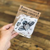 Sonoran Desert Critters Sticker Set by Aall Forms of Life