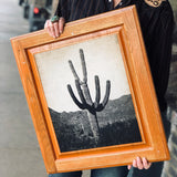B&W Cactus Cabinet Doors by DDco Design