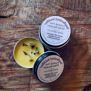 Healing Salves by Wildroot Horticultural