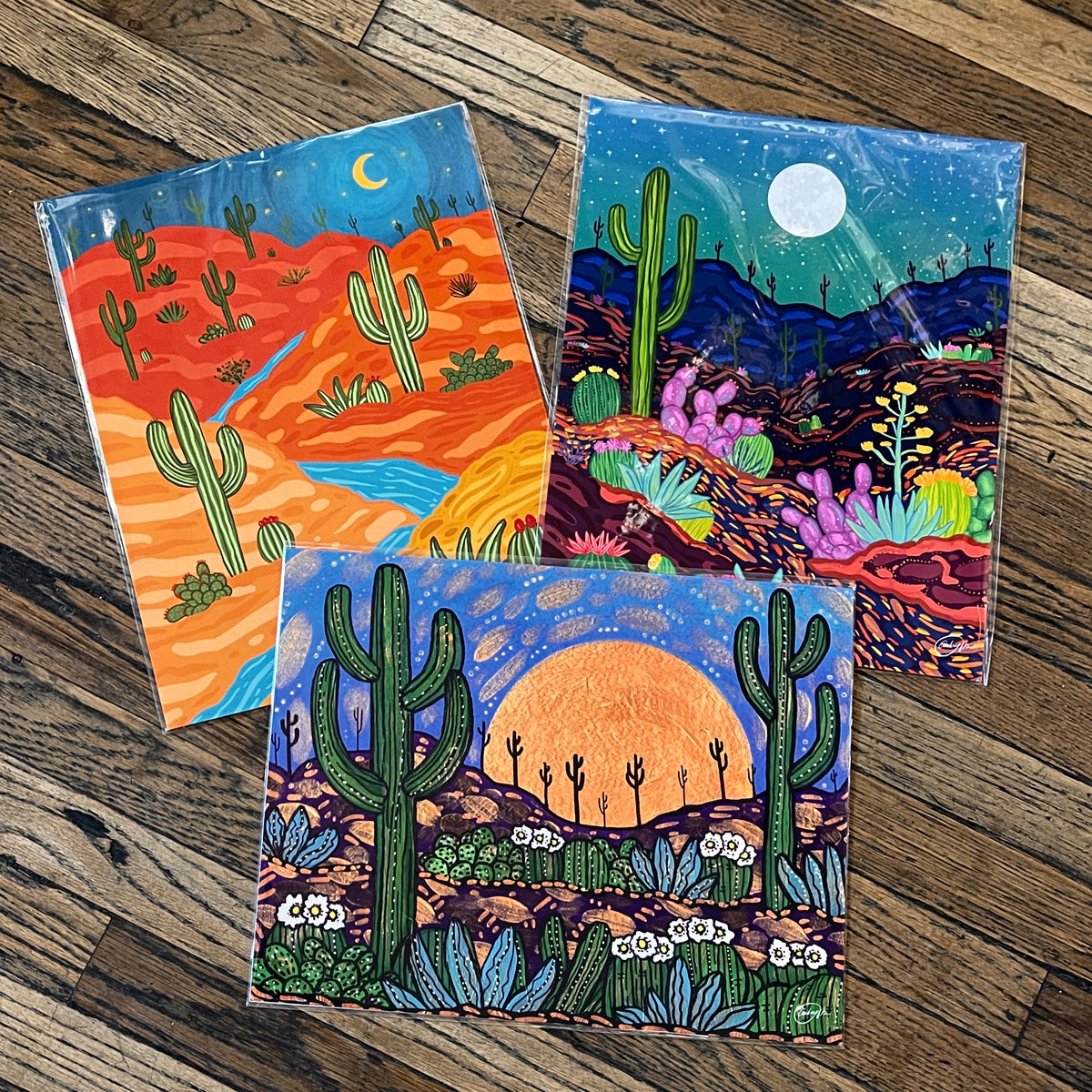 11x14 Art Prints by Annotated Audrey – Pop Cycle Tucson