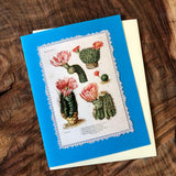 Vintage Cactus Greeting Cards