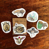 Sonoran Desert Critters Sticker Set by Aall Forms of Life
