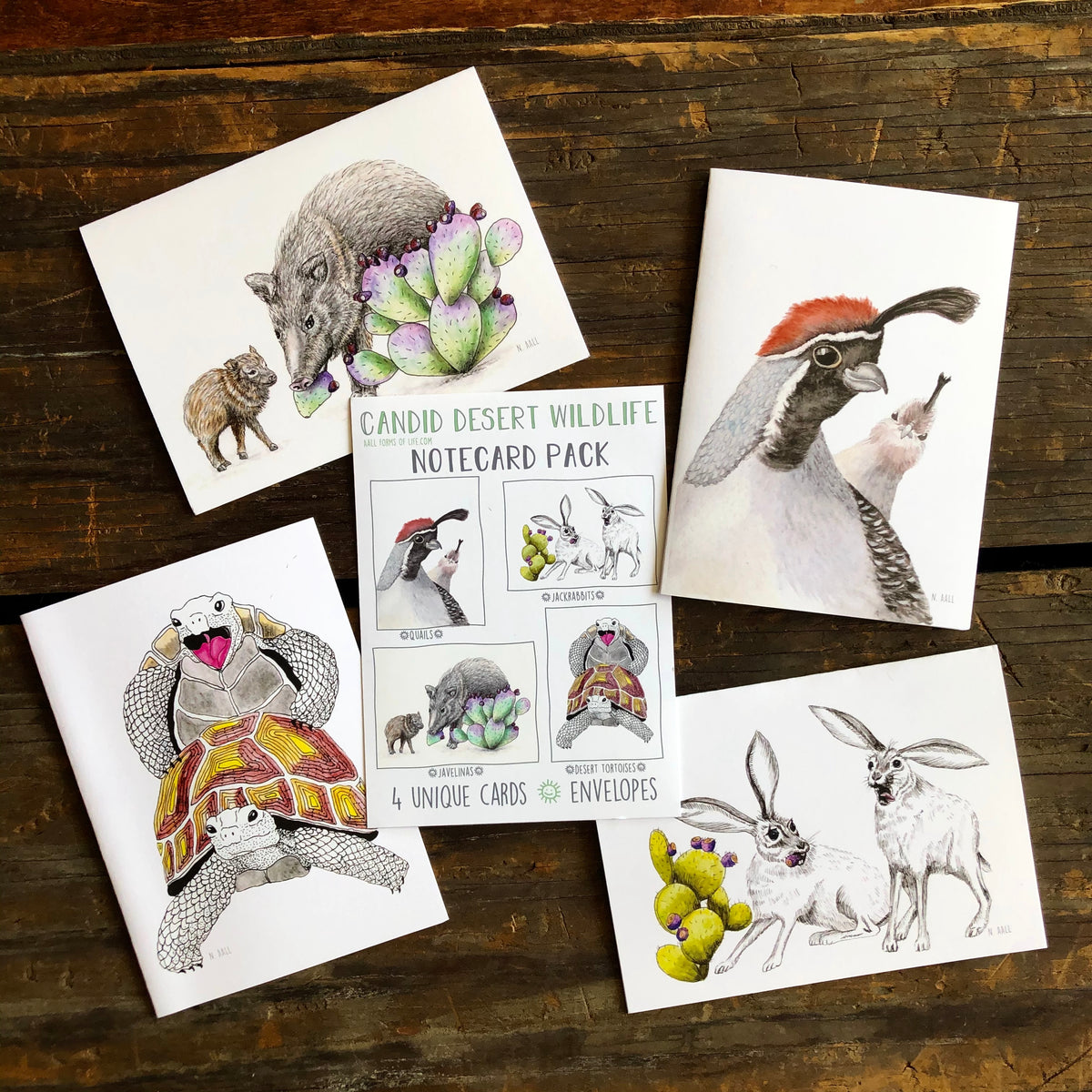Desert Animals Card Set by Aall Forms of Life – Pop Cycle Tucson