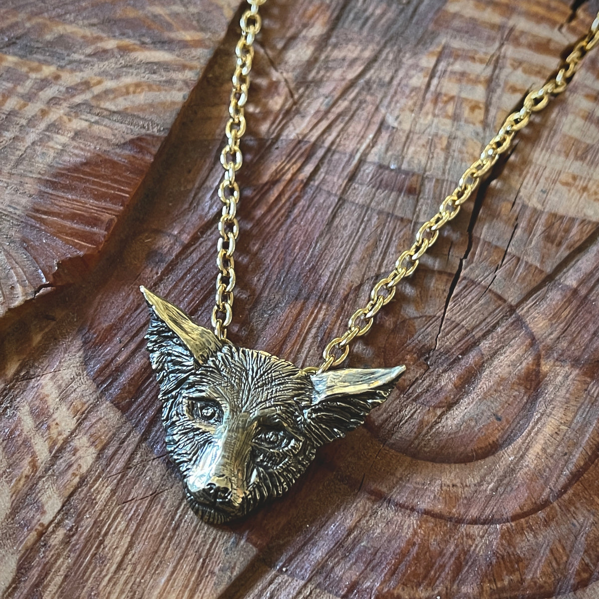 Coyote Chain Necklace by Heliotrope – Pop Cycle Tucson