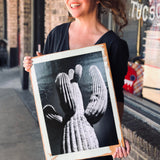 B&W Cactus Cabinet Doors by DDco Design