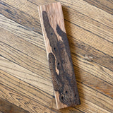 Saguaro Pyrography by Joe Marshall