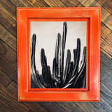 B&W Cactus Cabinet Doors by DDco Design