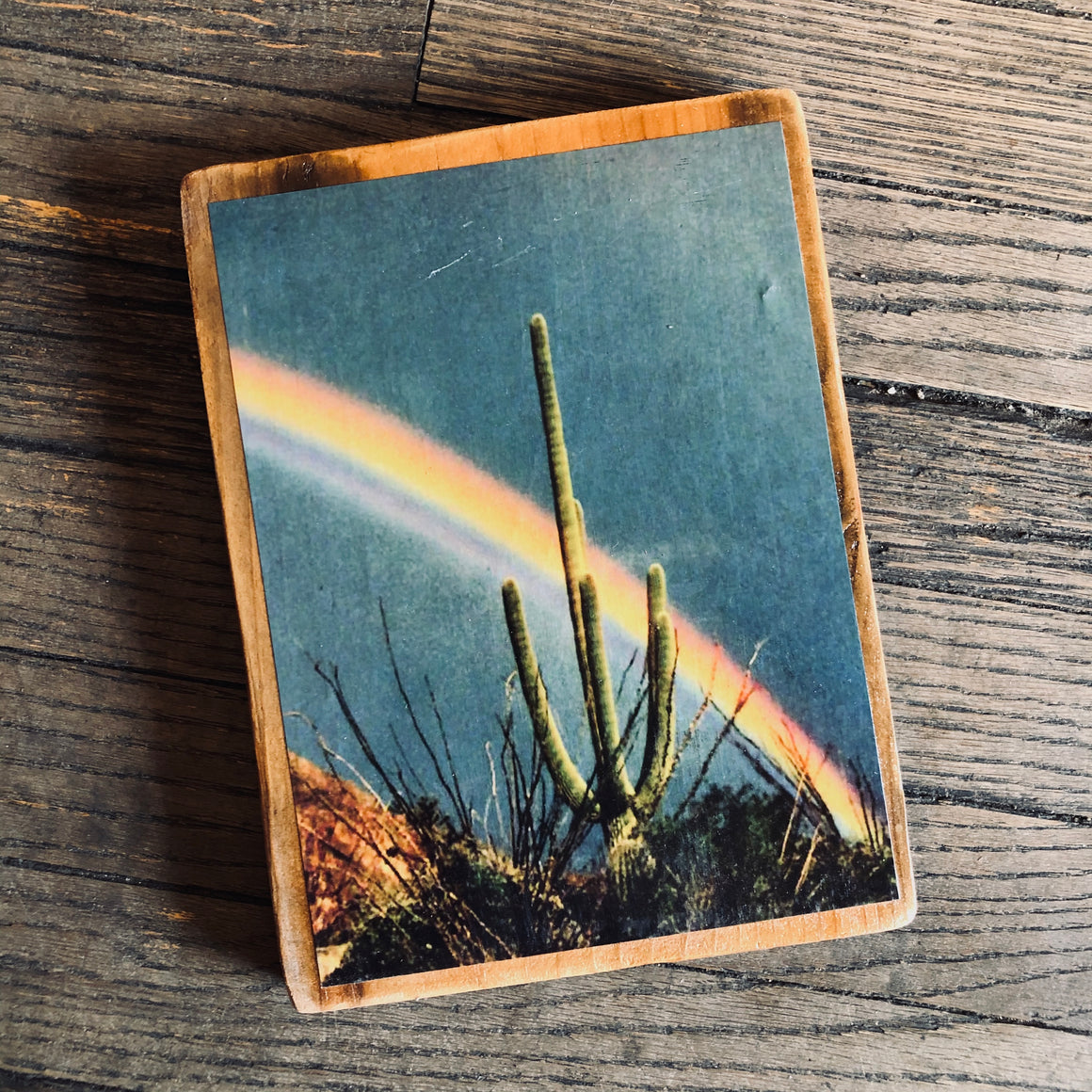 Pop Cycle Shop – Pop Cycle Tucson