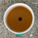 Planters by Mehgan on the Moon