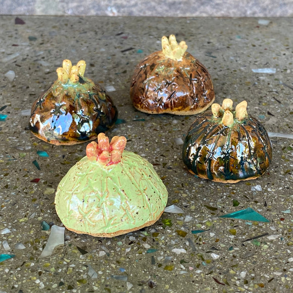 Ceramic Cacti by Mehgan on the Moon