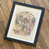 Framed Art Prints by Marcy Ellis