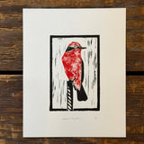 Desert Bird Prints by Drifting Venus