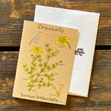 Sonoran Desert Notecards by Aall Forms of Life