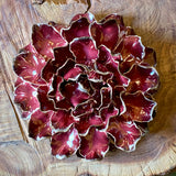 Ceramic Flora by Pottery by Jodi