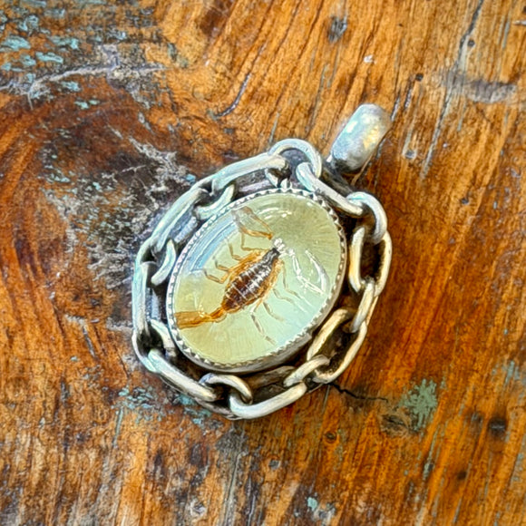 Scorpion Pendants by Honeycomb Organics