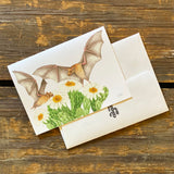 Sonoran Desert Notecards by Aall Forms of Life