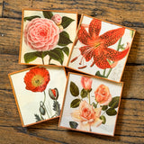 Coaster Set of 4 By DDco Design