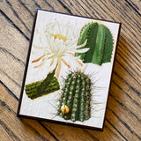 Botanical Cactus Key Hangers by DDco Design