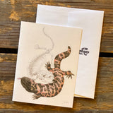 Sonoran Desert Notecards by Aall Forms of Life