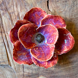 Ceramic Flora by Pottery by Jodi