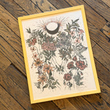 Framed Art Prints by Marcy Ellis