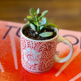 Cactus Cups