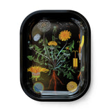 Small Metal Cactus Catchall Tray / Vintage Cacti Dish