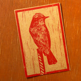 Desert Bird Postcards by Drifting Venus