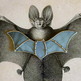 Stained Glass Bat Sun Catchers by Goodness Glass