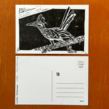 Desert Bird Postcards by Drifting Venus