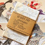 Desert Pop Postcard Pack by Aall Forms of Life