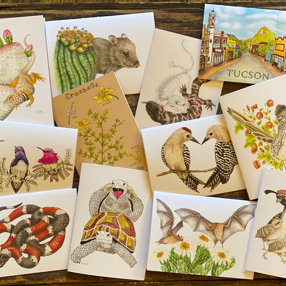 Sonoran Desert Notecards by Aall Forms of Life