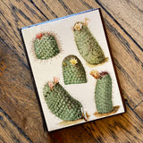 Botanical Cactus Key Hangers by DDco Design