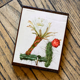 Botanical Cactus Key Hangers by DDco Design