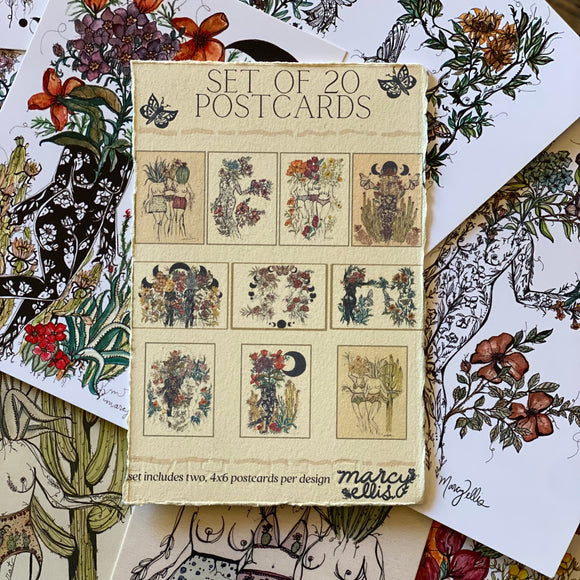Postcard Set of 16 by Marcy Ellis