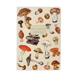 Notebook Series