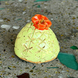 Ceramic Cacti by Mehgan on the Moon