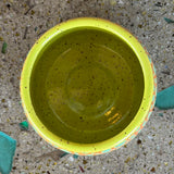 Spotted Saguaro Cups by Mehgan on the Moon