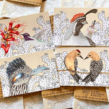 Desert Pop Postcard Pack by Aall Forms of Life